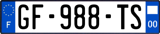 GF-988-TS