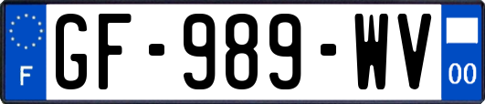 GF-989-WV