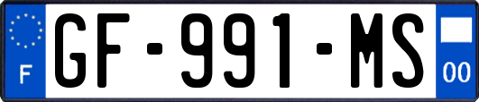 GF-991-MS