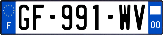 GF-991-WV