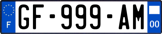 GF-999-AM