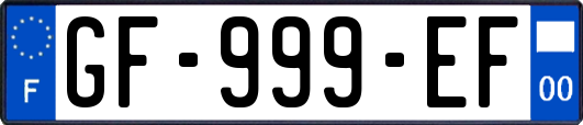 GF-999-EF