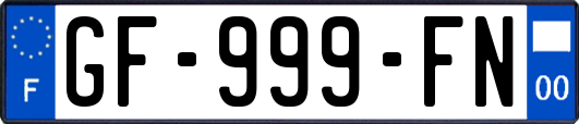 GF-999-FN
