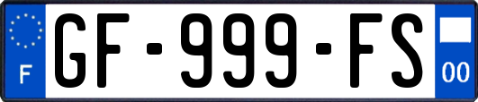 GF-999-FS
