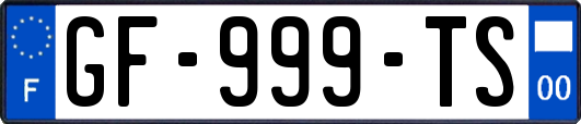 GF-999-TS