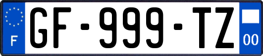 GF-999-TZ