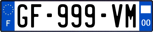GF-999-VM