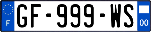 GF-999-WS