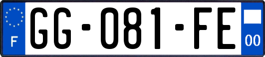 GG-081-FE