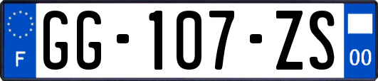 GG-107-ZS