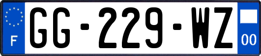 GG-229-WZ