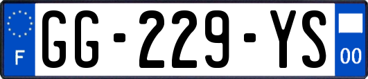 GG-229-YS