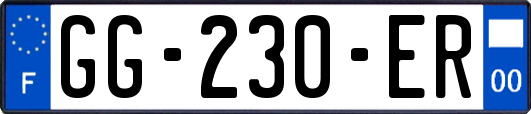 GG-230-ER