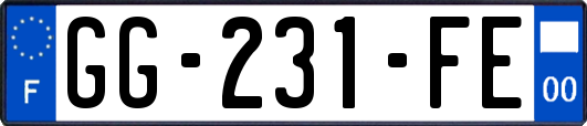 GG-231-FE