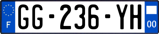 GG-236-YH