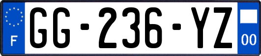 GG-236-YZ