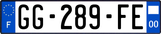 GG-289-FE