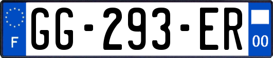 GG-293-ER