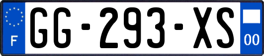 GG-293-XS