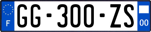 GG-300-ZS