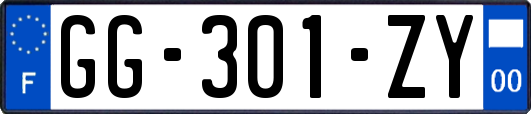 GG-301-ZY