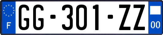 GG-301-ZZ