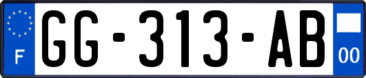 GG-313-AB