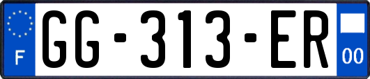GG-313-ER