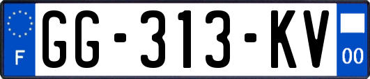 GG-313-KV