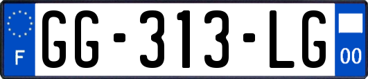 GG-313-LG
