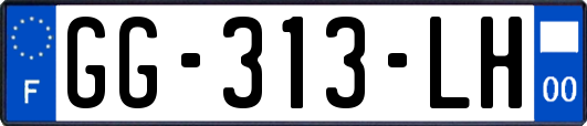 GG-313-LH
