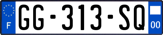 GG-313-SQ