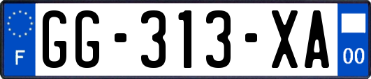 GG-313-XA