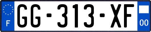 GG-313-XF