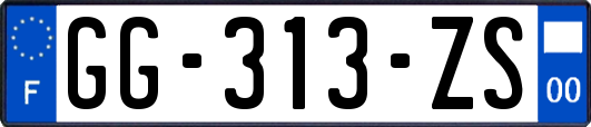 GG-313-ZS