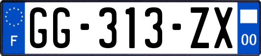 GG-313-ZX