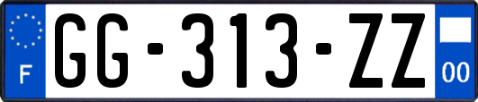 GG-313-ZZ