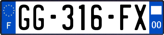 GG-316-FX
