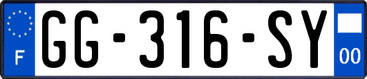 GG-316-SY