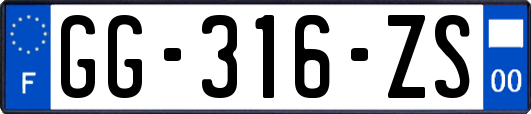 GG-316-ZS