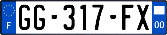 GG-317-FX