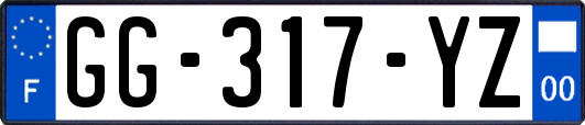 GG-317-YZ