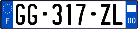 GG-317-ZL