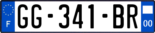 GG-341-BR