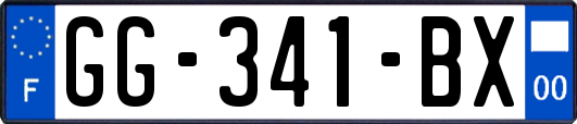 GG-341-BX