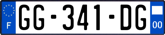 GG-341-DG