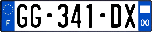 GG-341-DX