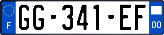 GG-341-EF