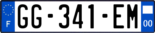 GG-341-EM