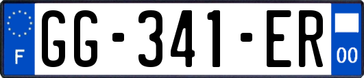 GG-341-ER